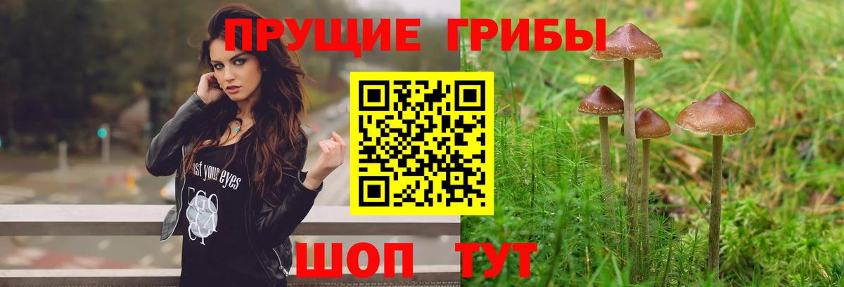 Псилоцибиновые грибы ЛСД Кашира